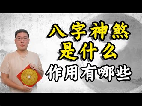 麻煞是什麼|麻衣煞是什麼意思